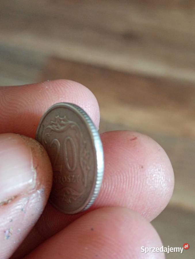 Sprzedm 20 gr 1991 Chełm