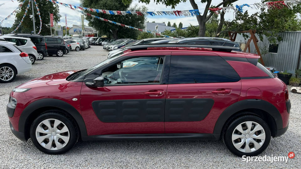 Citroen C4 Cactus SPRZEDANY Salon 12 benz 110 benzyna