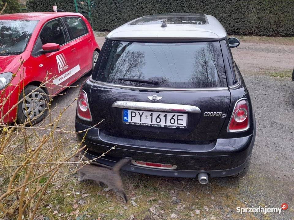 Mini Cooper D Samochody osobowe Poznań