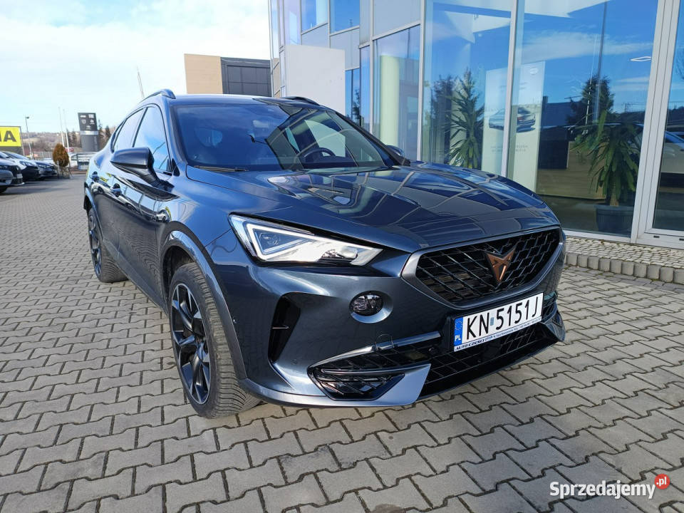 Cupra Formentor 15 TSI DSG 150 super stan niski Motoryzacja