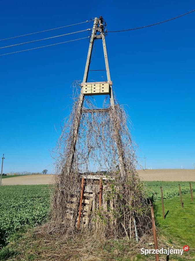 Budka jerzyków 9 gniazd Architektura ogrodowa Sławno