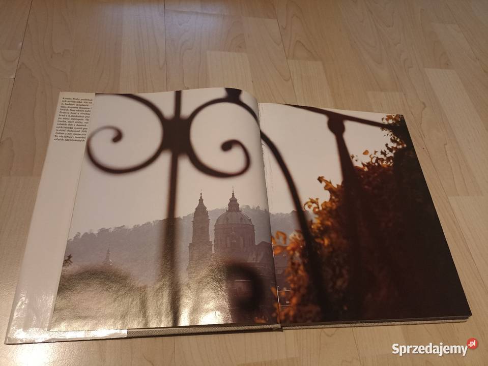 Ji Doleal Ivan Doleal Praha Prag Prague Praga twarda z obwolutą Poradniki, albumy i reportaże małopolskie Kraków
