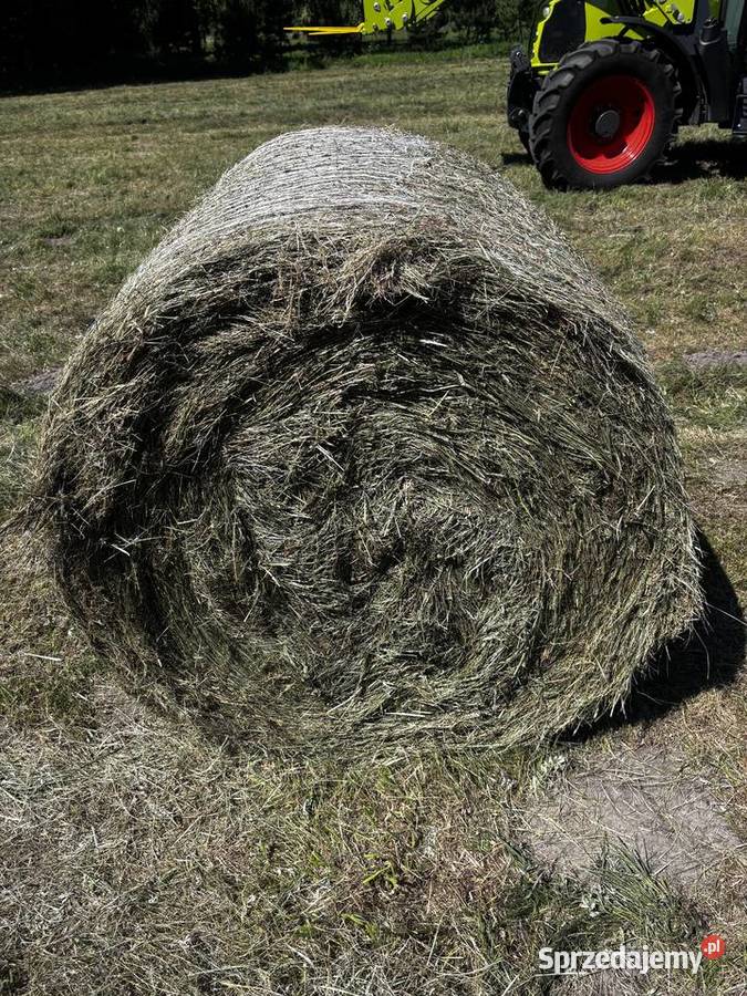 Sprzedam siano świętokrzyskie Umianowice sprzedam