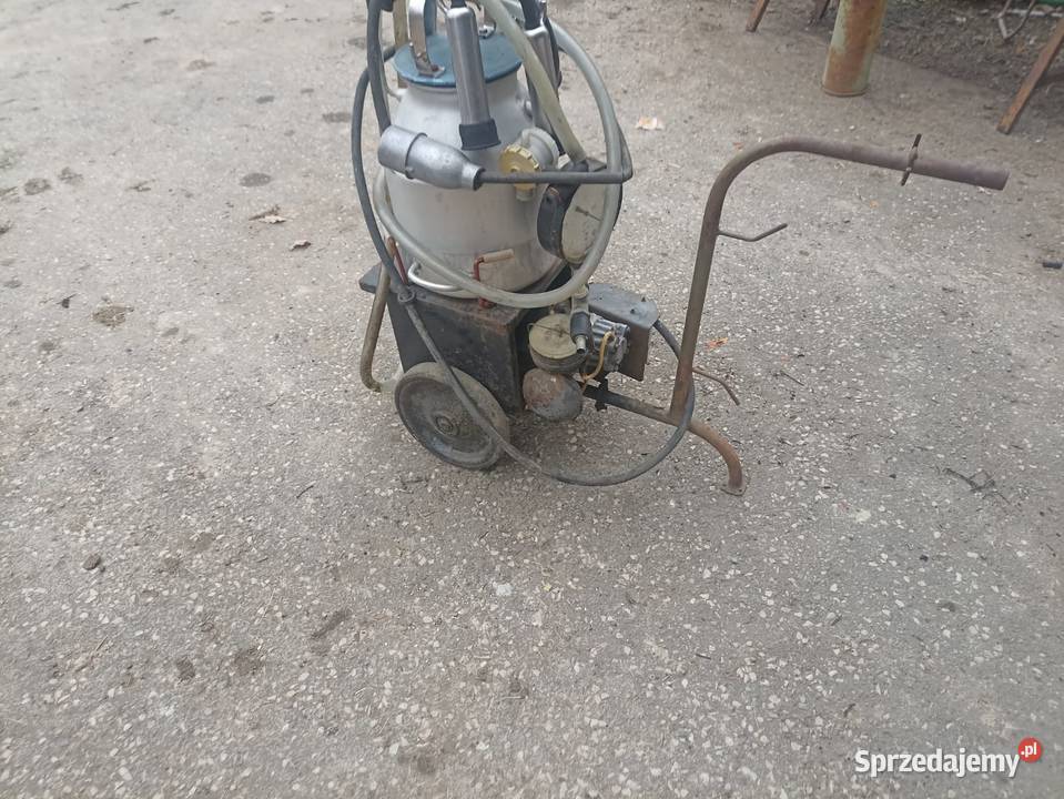 Dojarka ruska Pisarzowa