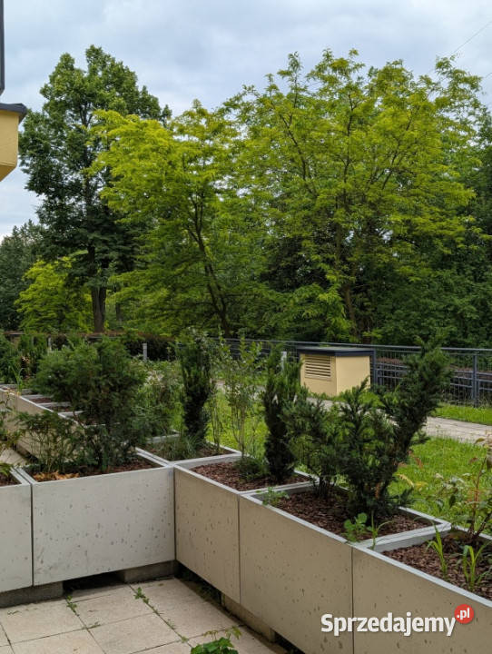 Mieszkanie 4889 m2 taras 2506 m2 widok na zieleń Kraków sprzedam