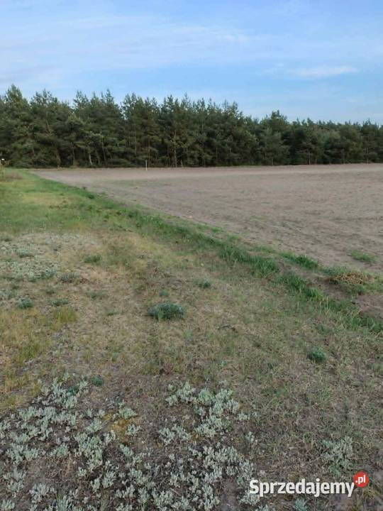 Działka budowlana Sompolno