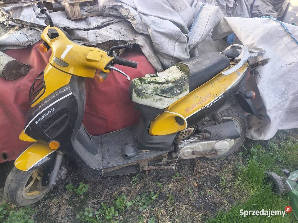 Skuter 4t Kingway koyot Kingway Skarszewy