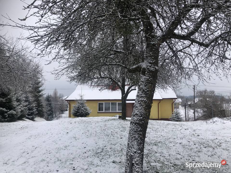 Agroturystykastadnina koni 561 ha z lasem podkarpackie Łówcza