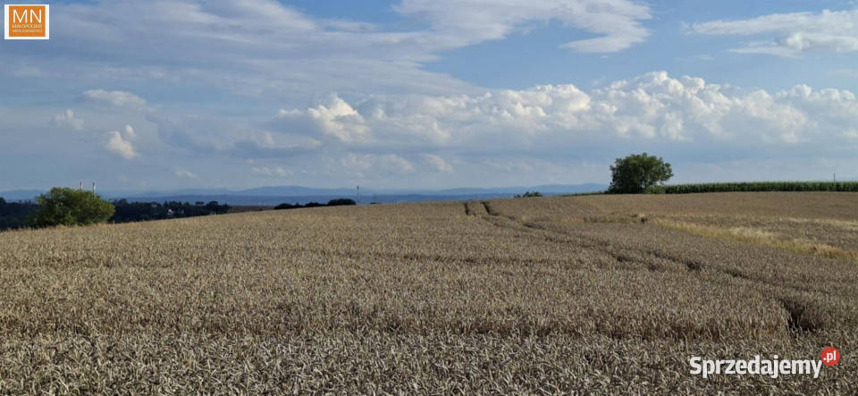 sprzedaży gruntu 1600m2 Kocmyrzów Sprzedaż