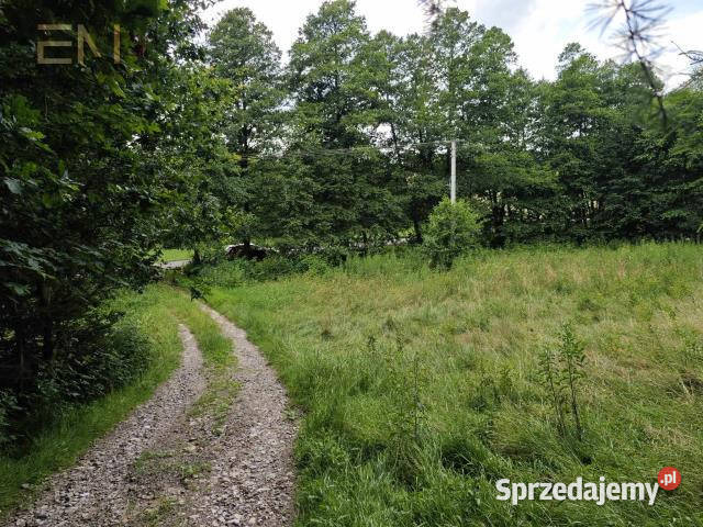 Sprzedaż działki 5000m2 Huta Gogołowska Sprzedaż