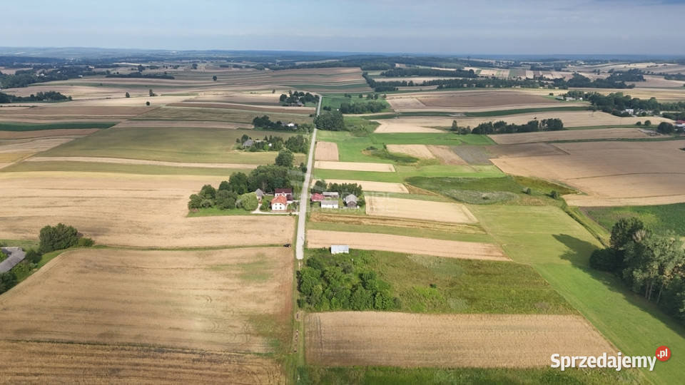 Sprzedam siedlisko w Bożej Woli gm Adamów