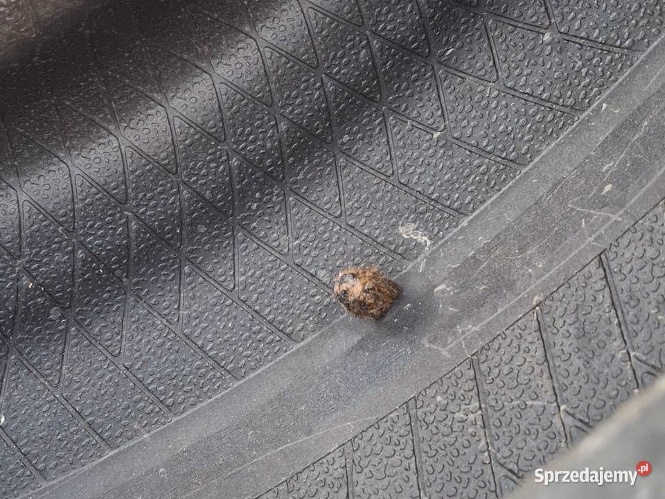 OPONA LETNIA DUNLOP SPORT MAXX RT2 24545R17 99Y lubuskie Bieleń