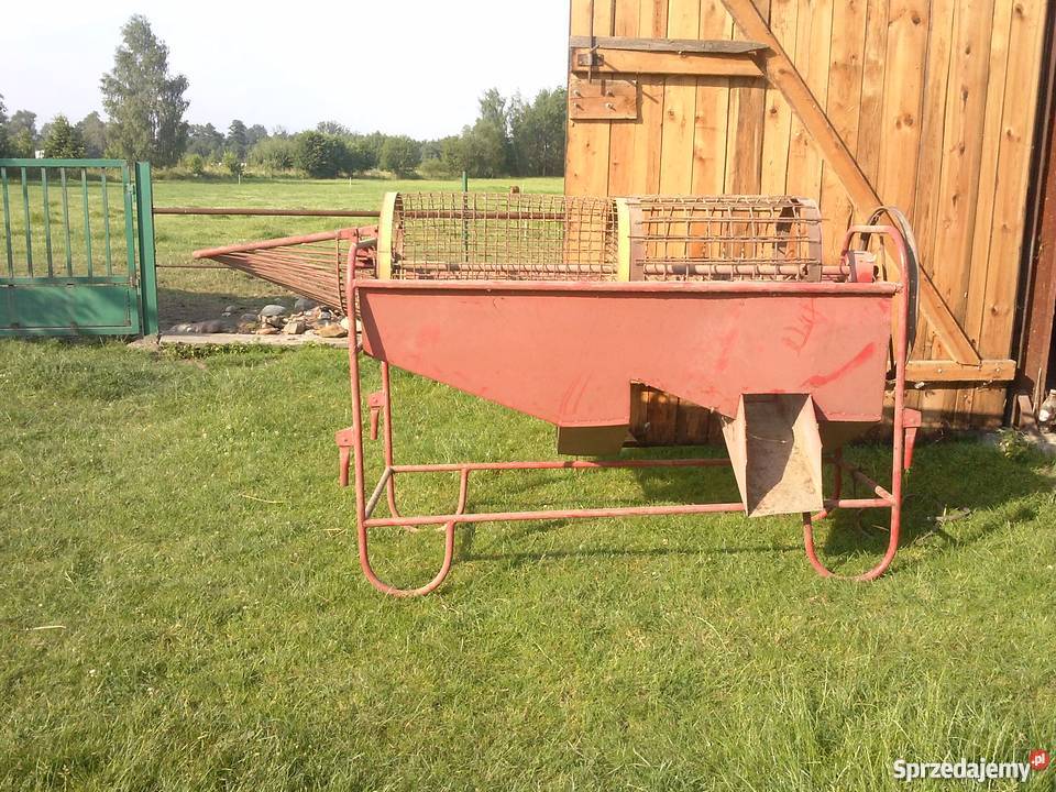 Sortownik do ziemniaków Gorzów Śląski