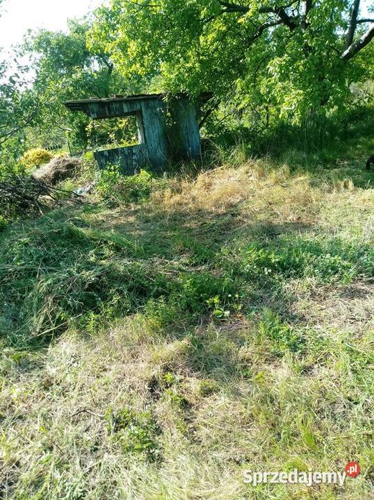 Odstąpię działkę ROD Plon Wrocław