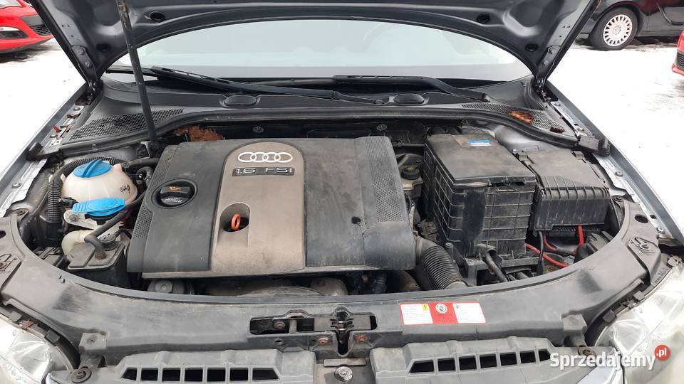 Audi A3 16 Benzyna 5 Drzwi Klima Alu Zadbana Kraśnik sprzedam