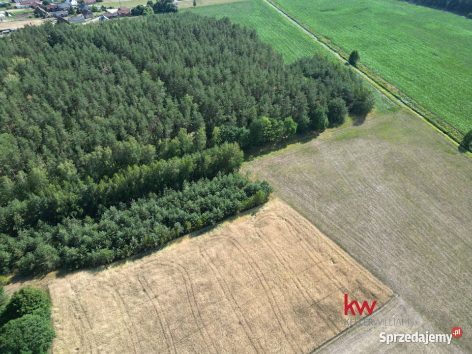 Grunt Jerominy 3702m2