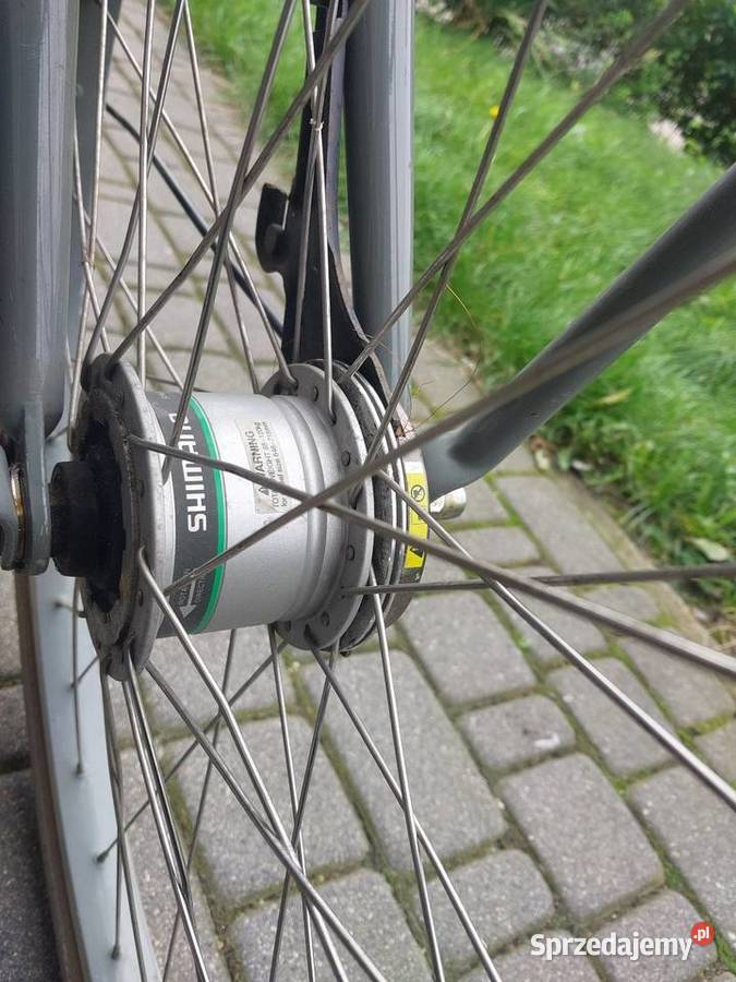 Batavus Delivery Bike rower damski wielkopolskie Turek
