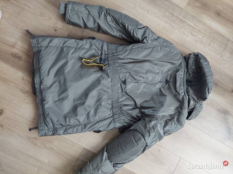 kurtak plaszczuk zielony Proszowice