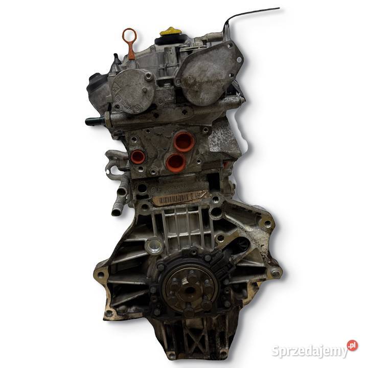SILNIK BLF Audi A3 II 8P Skoda Octavia II 16 FSI Chełm