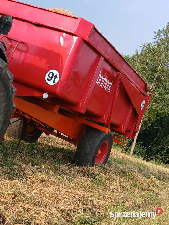 Przyczepa skorupowa nieuszkodzony Bargłów Kościelny