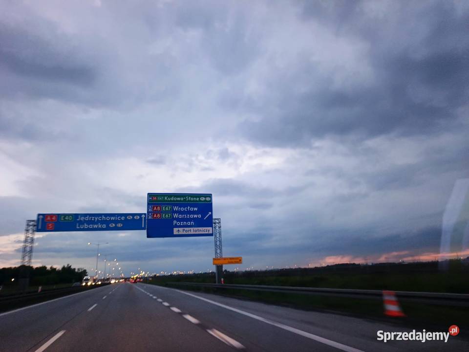 Amazonka oratrix śląskie Gliwice sprzedam