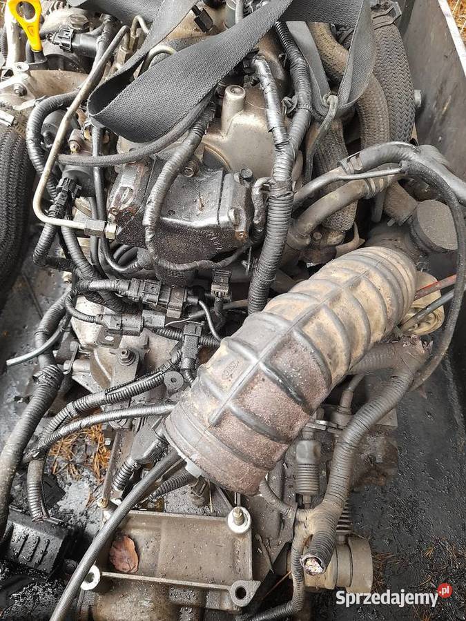 HYUNDAIKIA 20 CRDI20Tci silnik na czesci dawca osobowe Jastrzębia Góra sprzedam