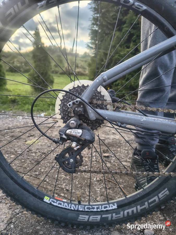 Trek marlin