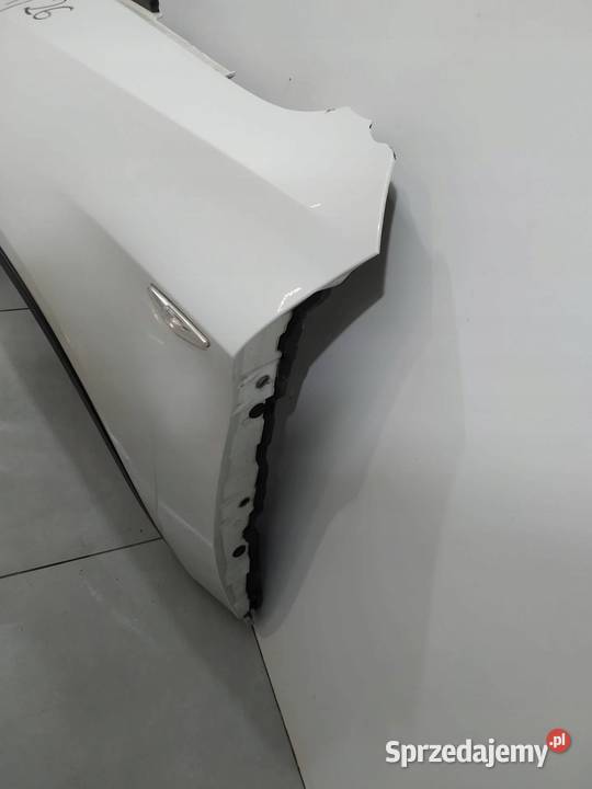 BŁOTNIK LEWY PRZÓD LIFT A300 SPRYSKIWACZ Bmw X6 świętokrzyskie