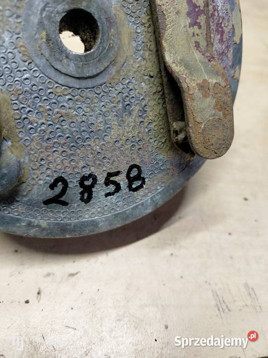 Szczękotrzymacz Jawa kaczka ogar Mustang łódzkie Łubno