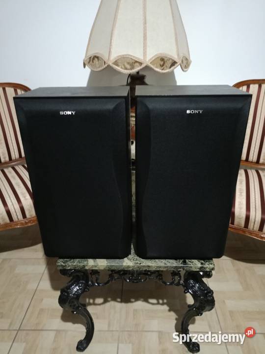 Kolumny SONY 120 Watt Drawski Młyn
