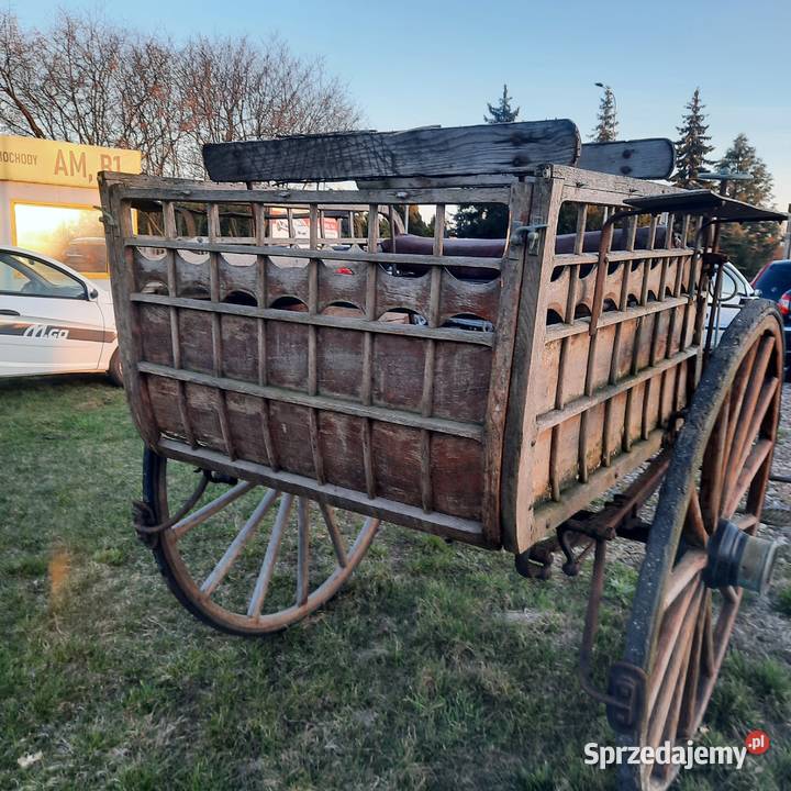 Bryczka konna Strzałkowo sprzedam