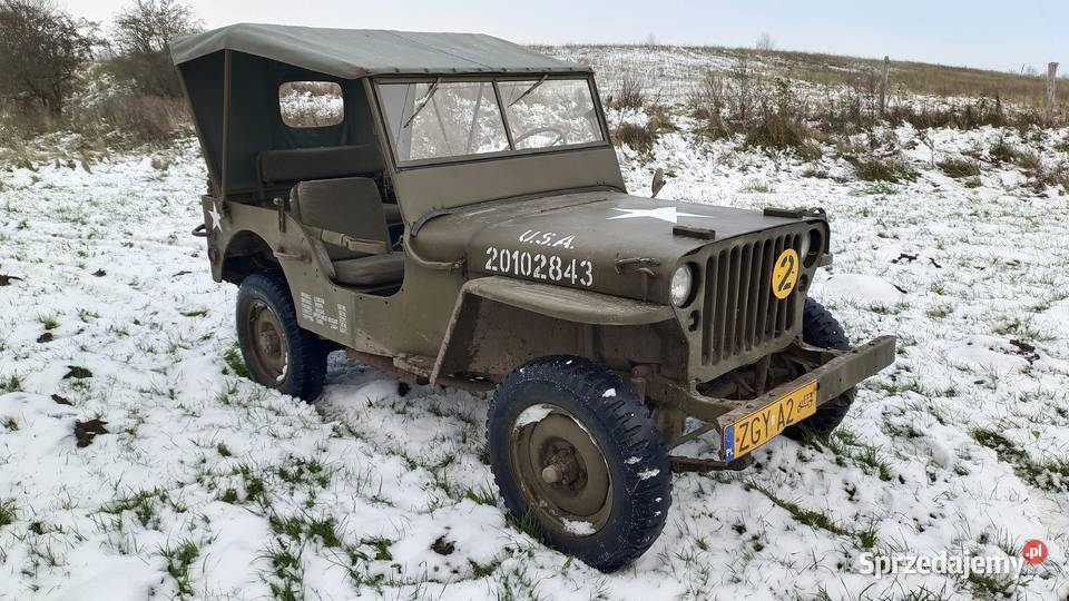 Willys MB Jeep zabytek 2200cm3 Trzebiatów sprzedam