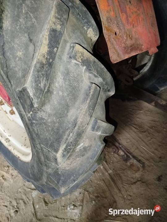 Władymirec t25 Kunów