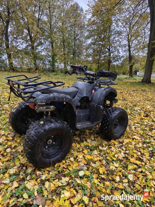 quada 125ccm wersja 3biegowa Gostynin