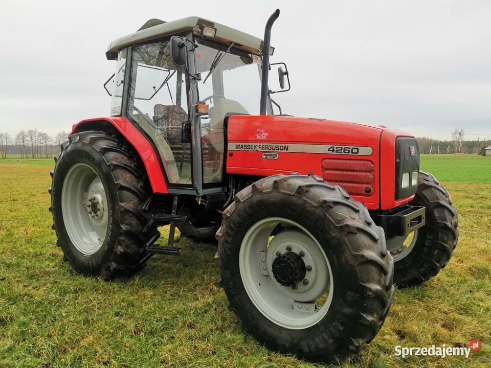 Massey ferguson 4260 Massey Ferguson wielkopolskie Dobra