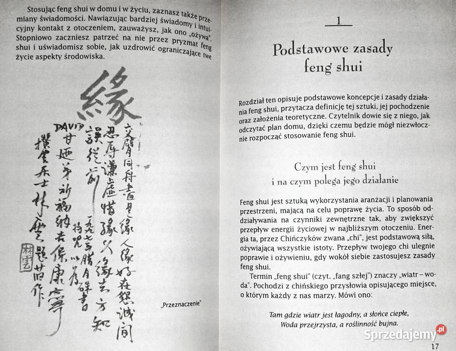 Podręcznik feng shui Wiedza i praktyka Daniel Chełm