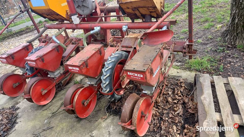 Siewnik do kukurydzy 4 rzedowy Gołkowice