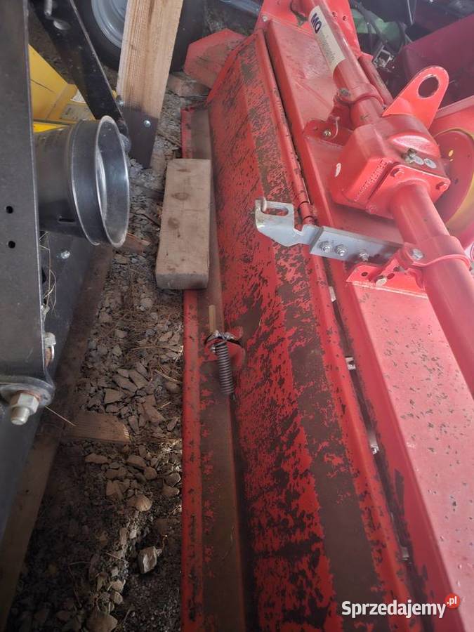 Glebogryzarka maschio dolnośląskie Sosnowa