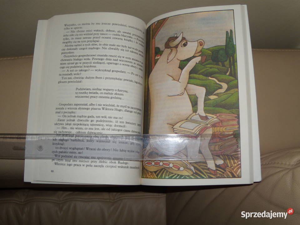 Bajki kota na płocie Marcel Ayme mazowieckie Warszawa sprzedam