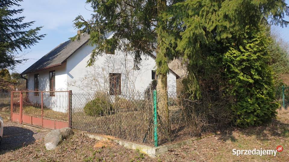 Działka dom budynki gospodarcze