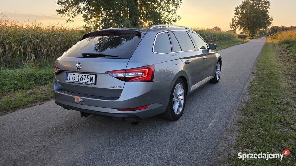 Skoda Superb 20 TDI DSG LaurinKlememt lubuskie Gorzów Wielkopolski