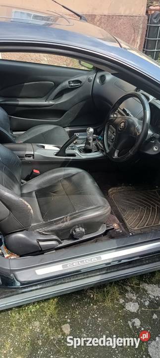 Do sprzedania czarna strzała Olszanica