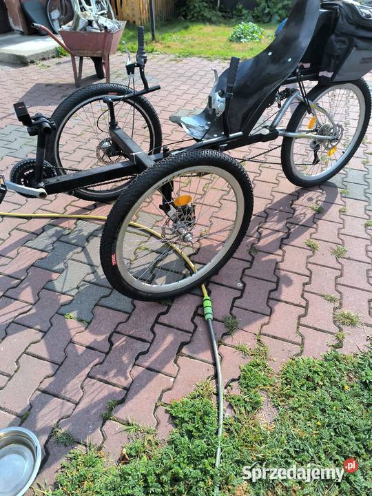 Rower trójkołowy Pozostałe Łuków