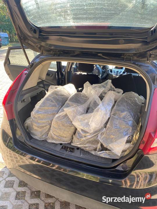 Ford Fiesta Fiesta Izabelin C