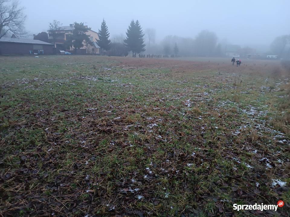 Działka siedliskowa 30 ar Rozkopaczew między 30000m2 sprzedam