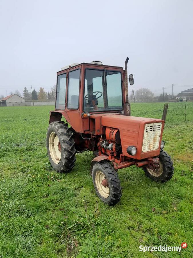 Władymirec T25A2 Chrapoń sprzedam