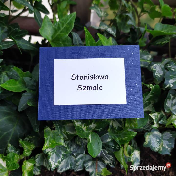 Winietki Konin sprzedam