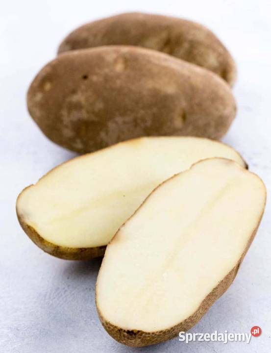 ziemniaki wysokiej jakości małopolskie Oświęcim sprzedam