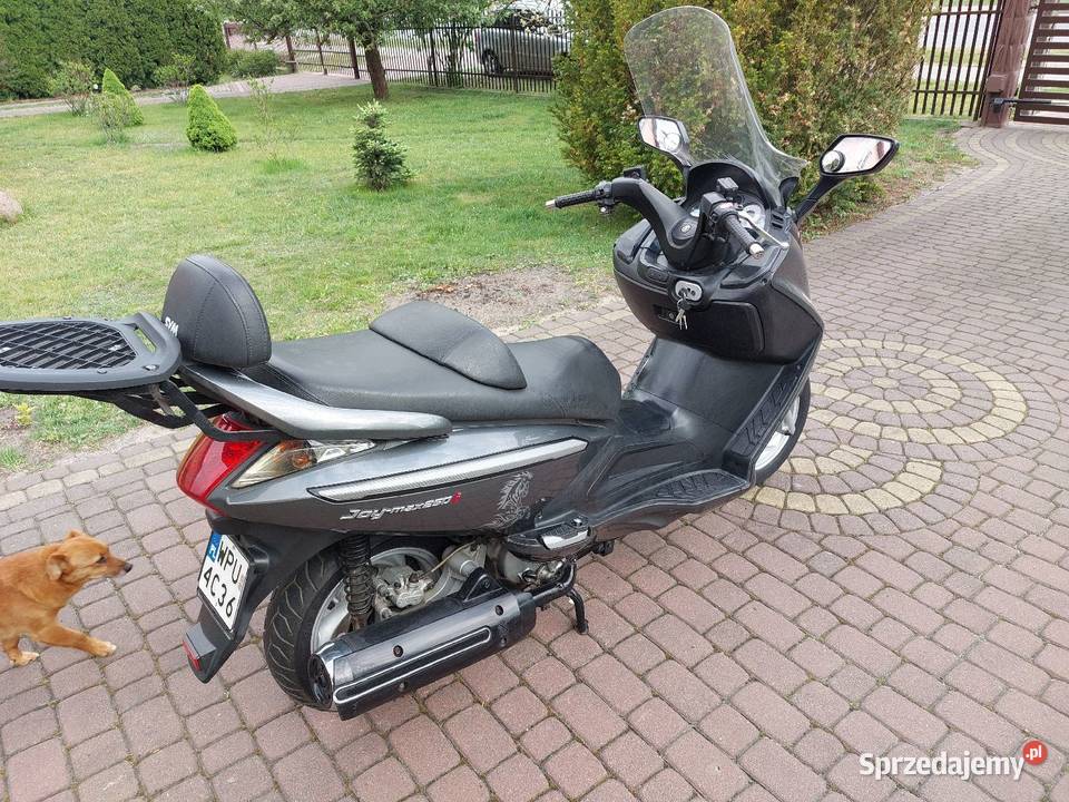 Sym Joymax 250 mazowieckie Łochów