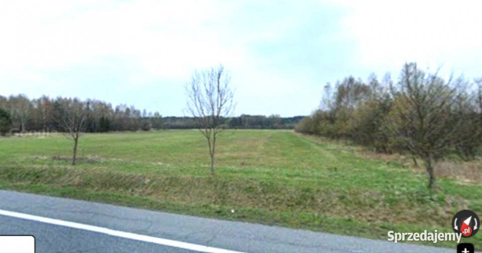 sprzedaż działka inwestycyjna 6829m2 Grodziec asfalt Sprzedaż